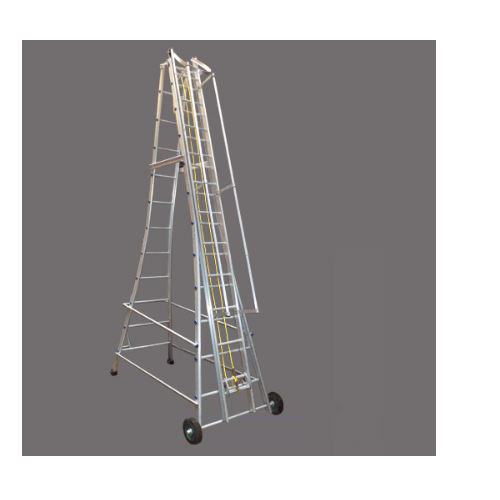 Telescopic Wheeled Ladder